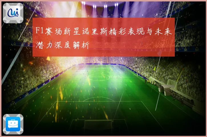 F1赛场新星诺里斯精彩表现与未来潜力深度解析