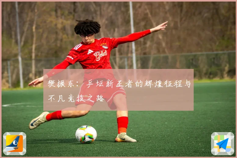 樊振东：乒坛新王者的辉煌征程与不凡竞技之路